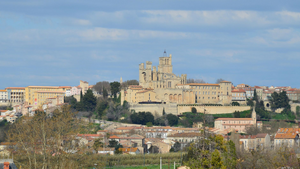 Lutte contre les nuisibles Béziers